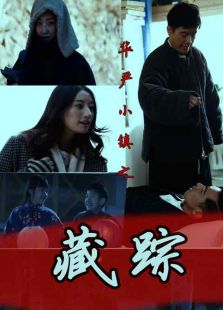 華嚴小鎮2之藏蹤