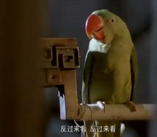 http://www.fjsenfa.cn/pics/default/download/6dd530501516442e9c4697356f3f4f0a.jpg