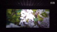 匆匆那年 魏晨：一朵丁香花—高二一班 喬燃