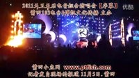 莆田小魚網-天王天后電音演唱會視頻1