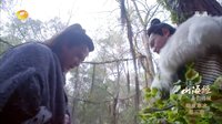 山海經(jīng)之赤影傳說(shuō) TV版 《山海經(jīng)之赤影傳說(shuō)》親情的巨輪不沉不翻 小冰不顧性命解救百里寒