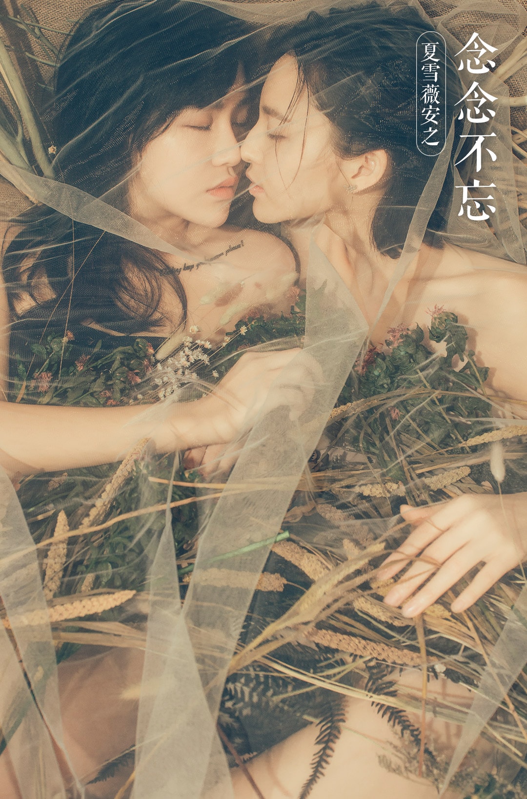 http://www.fjsenfa.cn/pics/default/download/6f645cc843de653786c035bb5cf5a282.jpg