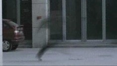預告片1