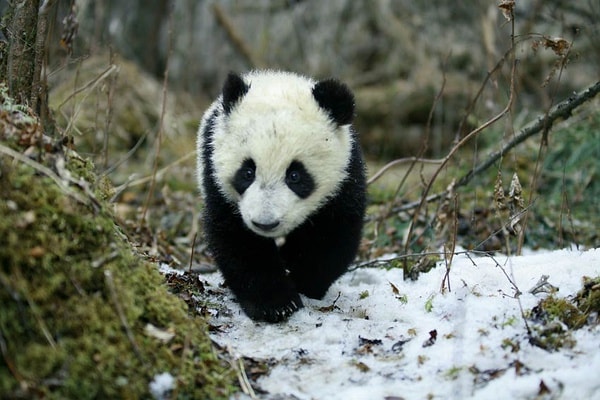 http://www.fjsenfa.cn/pics/default/download/7014af1f9a6e00a1c211ec289c0b66f6.jpg