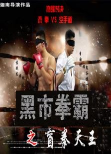 黑市拳霸之盲拳天王