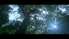 終極版預告片