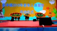 大豐萬(wàn)眾村扇子舞中國(guó)美在荷蘭花海表演_標(biāo)清_flv_480x320_極高質(zhì)量