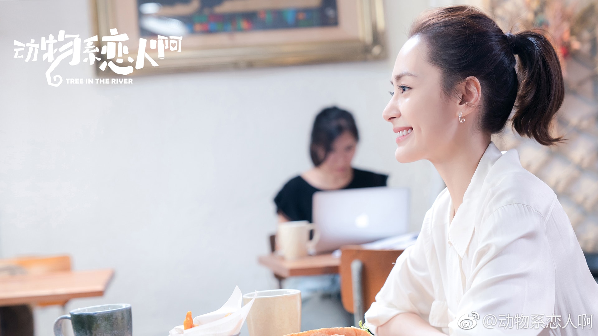 http://www.fjsenfa.cn/pics/default/download/7134/b3f16724cba250bffacb850a5c83.jpg