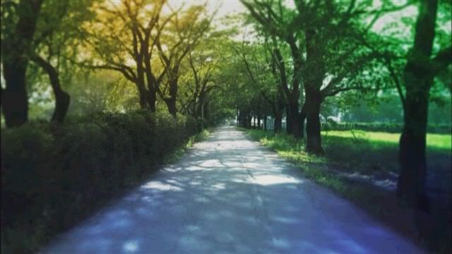 http://www.fjsenfa.cn/pics/default/download/71a9e4db31df6fed0780b26bf875a5e4.jpg