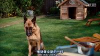 離家出走很久的狗狗突然出現(xiàn)在身后的那種感覺誰(shuí)懂