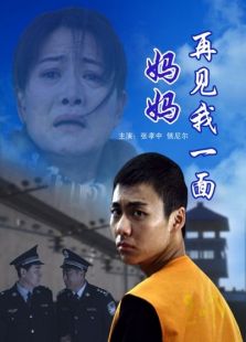 媽媽再見我一面