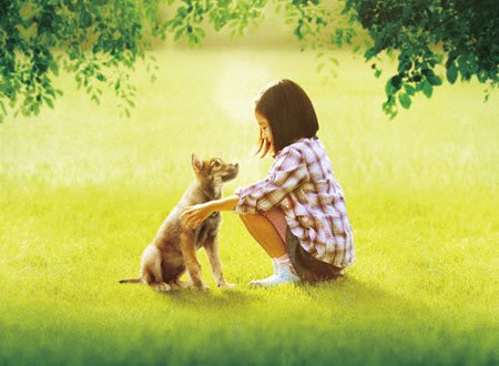 http://www.fjsenfa.cn/pics/default/download/72a61fa92f4eee26539ab61c68176632.jpg