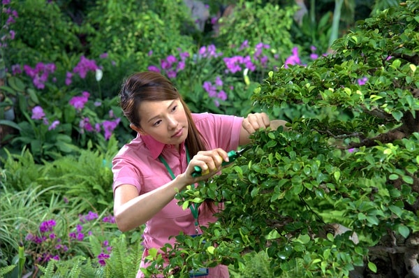 http://www.fjsenfa.cn/pics/default/download/72aea0053842e72ab670ed31c54279a4.jpg