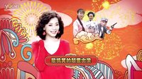 湖南經(jīng)視《野火春風逗古城》宣傳片之群星拜年篇