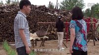 《女人的天空》蘭欣快嘴打誑語梁嬸受驚難言語