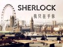 華生：夏洛克 我只在乎你 新年第一發(fā)！