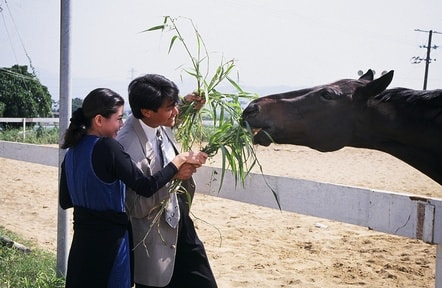 http://www.fjsenfa.cn/pics/default/download/75e29562195817cb999f03c5b9e75d15.jpg