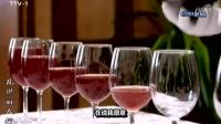 亂世麗人行 韓疏影與何楚天 （視頻剪輯與音頻MP3合并））……(有背景音樂字幕）