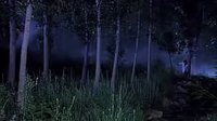 武工隊傳奇36-方佳