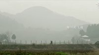 《夜孔雀》首曝主題曲MV 余少群愿與劉亦菲《為愛成泥》