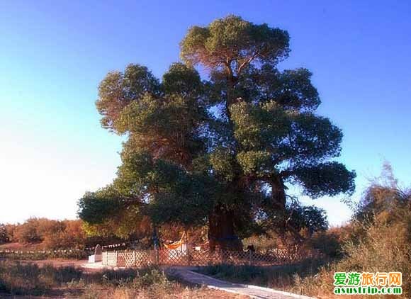 http://www.fjsenfa.cn/pics/default/download/782dbaba329c567892c10b8795705de2.jpg