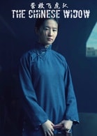 劉亦菲