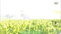 《結婚的女神）預告片(四)【中字】