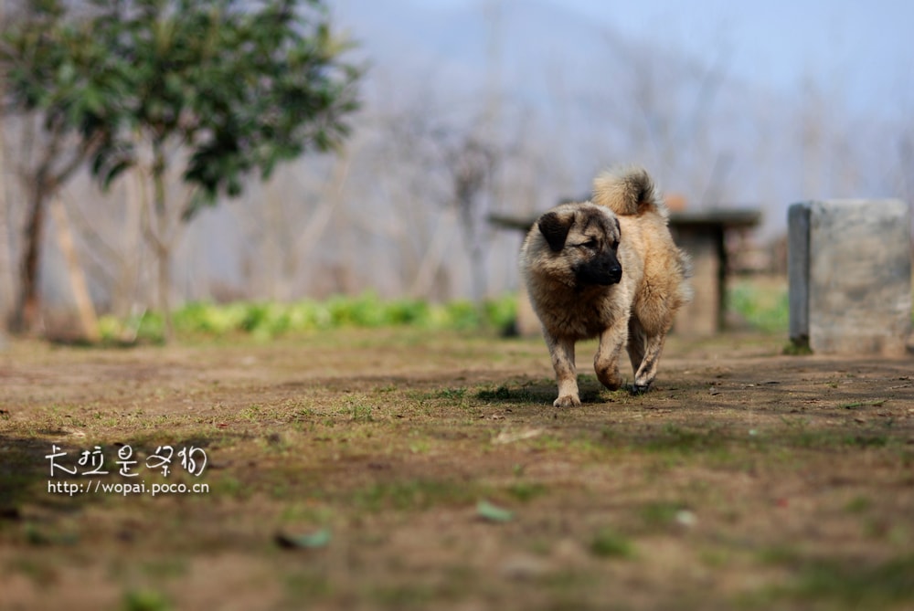 http://www.fjsenfa.cn/pics/default/download/7983975ee756c9def89ac66ccbaa65ce.jpg