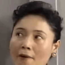 暫無資料