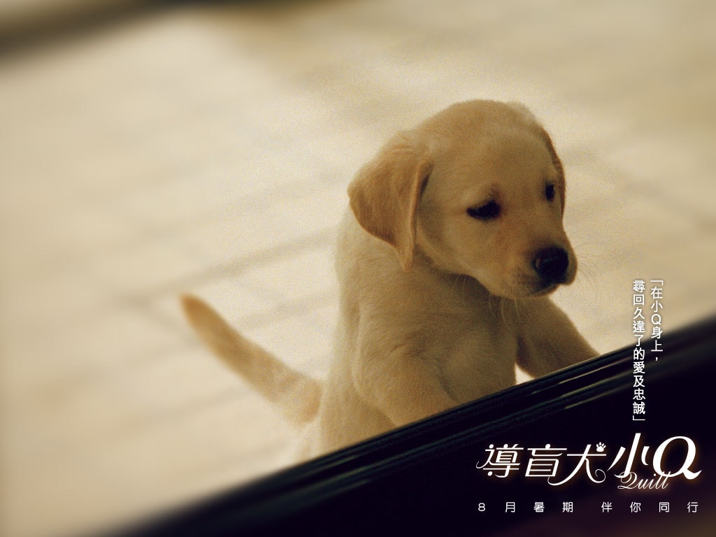 http://www.fjsenfa.cn/pics/default/download/7ad94b0d467f71bce0aaaaf5e19cd529.jpg