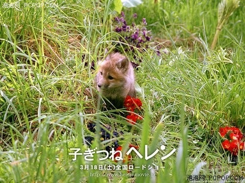 http://www.fjsenfa.cn/pics/default/download/7b18766fe7d918484f36e1a273dbe8ea.jpg