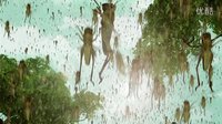 《少年毛澤東》曝終極預告   聲音與畫面的完美結合