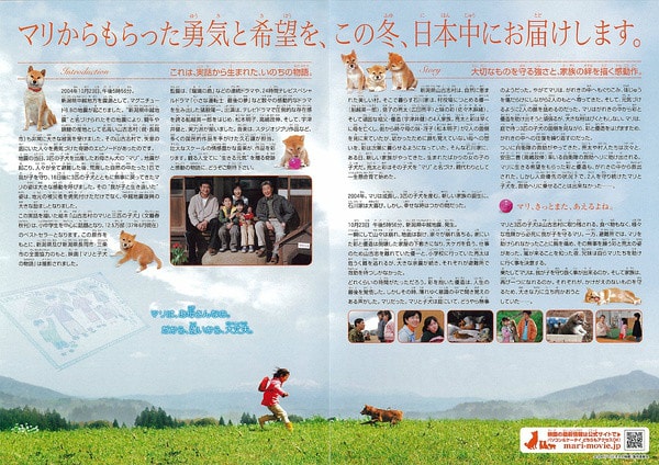 http://www.fjsenfa.cn/pics/default/download/7bc0330d08caf41580ce00ec8d04b51b.jpg