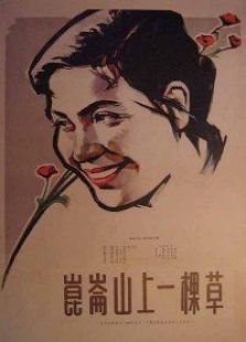 昆侖山上一棵草