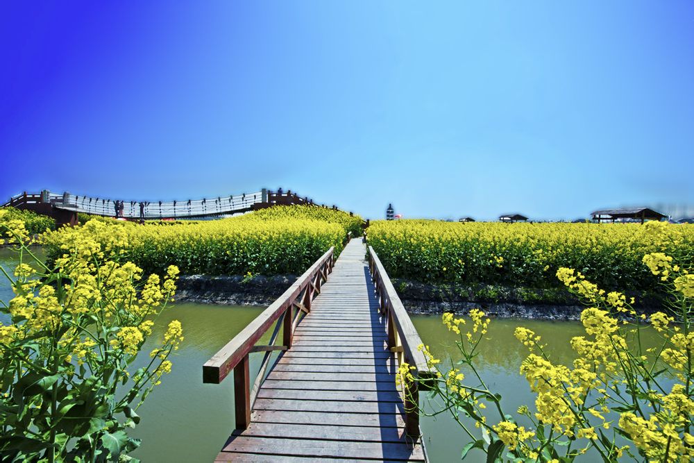 http://www.fjsenfa.cn/pics/default/download/7cd53fe2e178be2e5d7053249717fa23.jpg