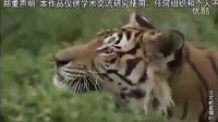 注定的愛情01