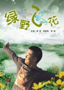 綠野飛花