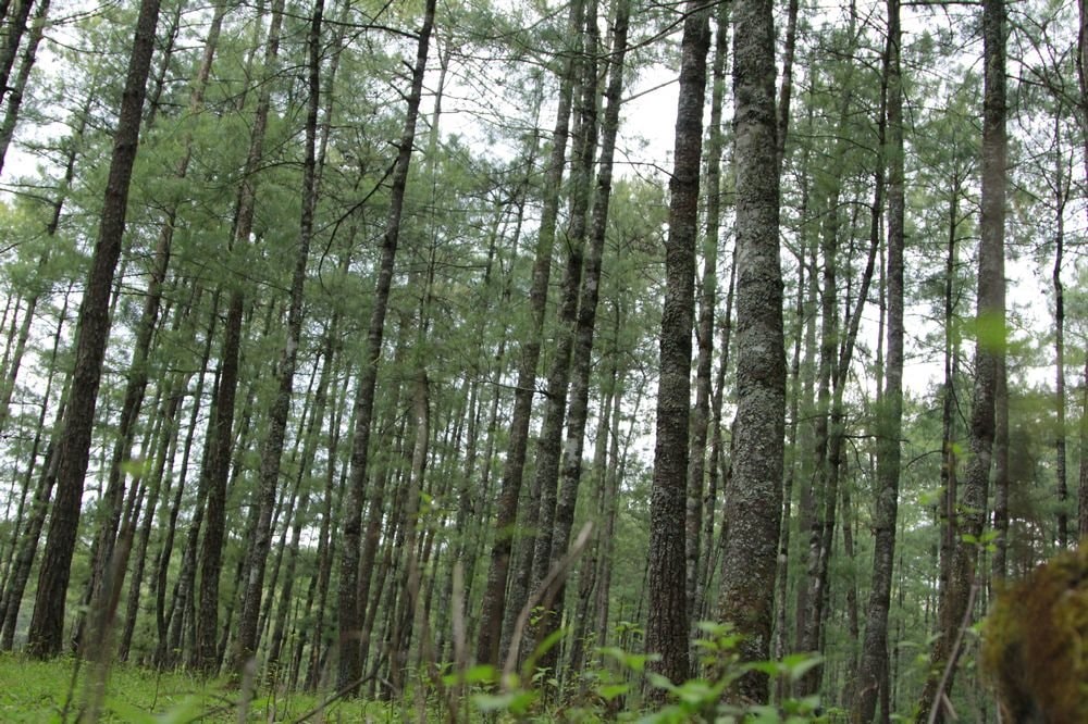 http://www.fjsenfa.cn/pics/default/download/8059ff3d17a3f52ffc45920ed4281311.jpg