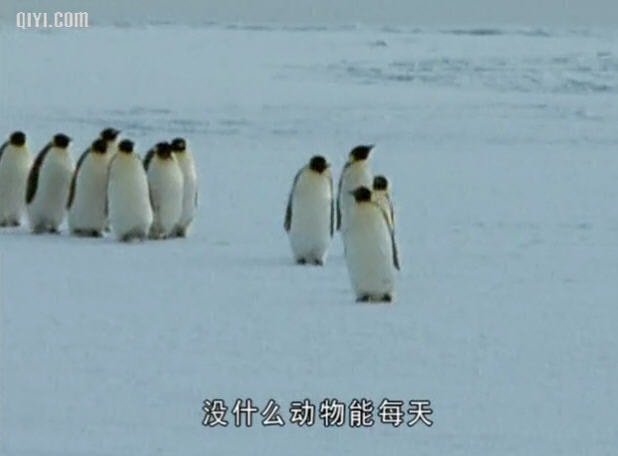 http://www.fjsenfa.cn/pics/default/download/80633480ac167101a264186a7c3a0e43.jpg