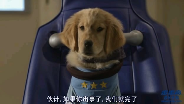 http://www.fjsenfa.cn/pics/default/download/80e129abd7e73c01e55ca7ae7ac6829c.jpg