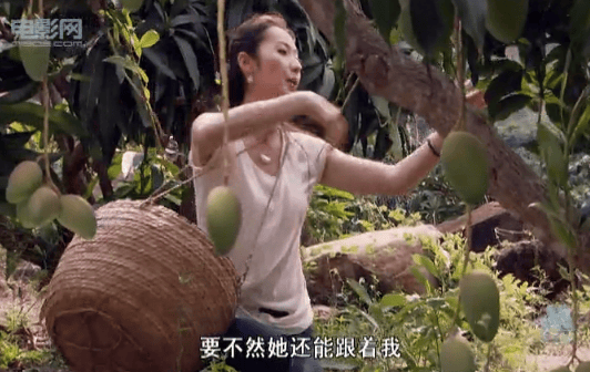 http://www.fjsenfa.cn/pics/default/download/81a4704e5b1941650b98be7498528a61.jpg