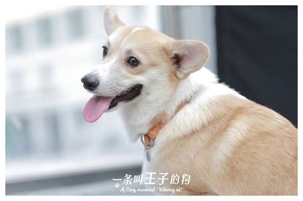 http://www.fjsenfa.cn/pics/default/download/8261e67a74e444f76ffa6f3adf9d1c06.jpg