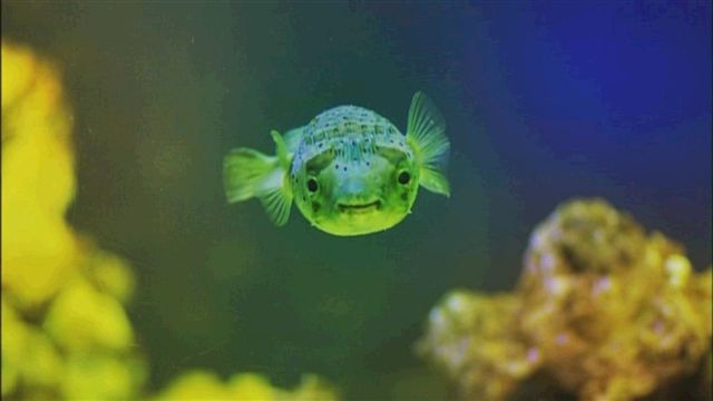 http://www.fjsenfa.cn/pics/default/download/827824bb3ad400db6f683e95fa1f0b64.jpg