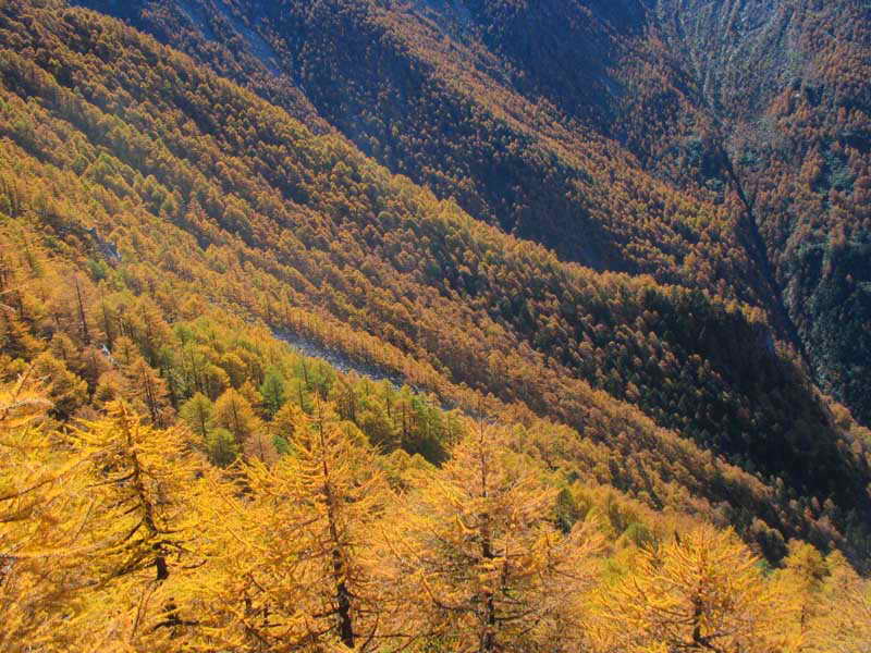 http://www.fjsenfa.cn/pics/default/download/830e6b963ac24e5e607a5832a7b50d06.jpg