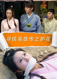 尋俠英雄傳之護花