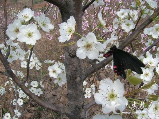 http://www.fjsenfa.cn/pics/default/download/83a6aa4056570dac91279ef733b264b2.jpg