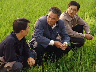 http://www.fjsenfa.cn/pics/default/download/8410c0a76a98611b12b5749423960063.jpg