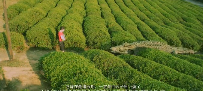 http://www.fjsenfa.cn/pics/default/download/8435c3e2358b476156180c61a2868cf6.jpg