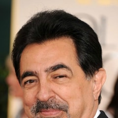 喬·曼特納Joe Mantegna