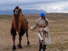 http://www.fjsenfa.cn/pics/default/download/84ad26f79f9e67bdf5c0810ccbbc5a98.jpg